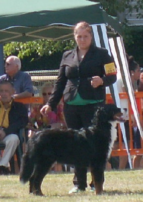 Des Terres D'alicia - Espagne : Résultat d'exposition de Framboise