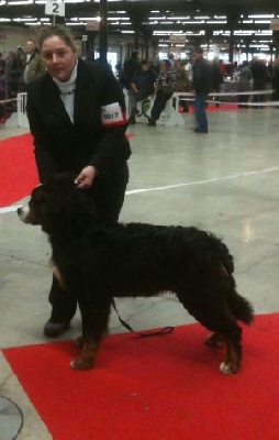 Des Terres D'alicia - Résultats Paris Dog Show