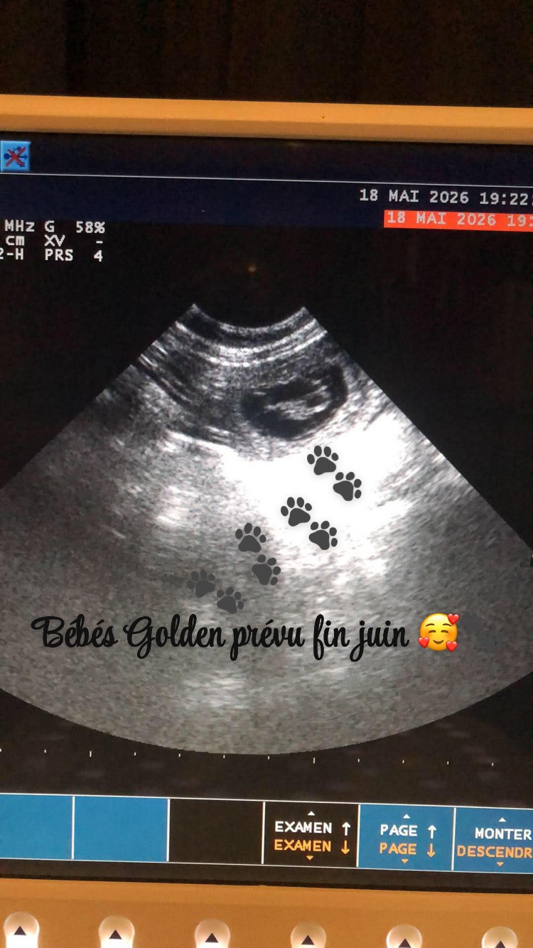 Les bébés sont bientôt là!